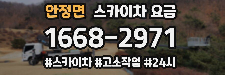 안정면 스카이차 요금