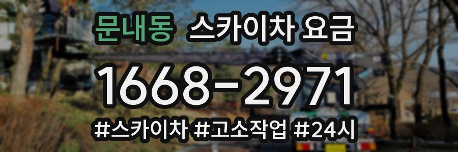 문내동 스카이차 요금