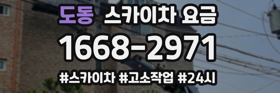 도동 스카이차 요금