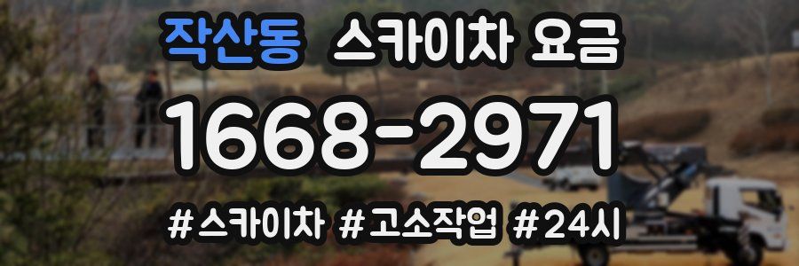 작산동 스카이차 요금