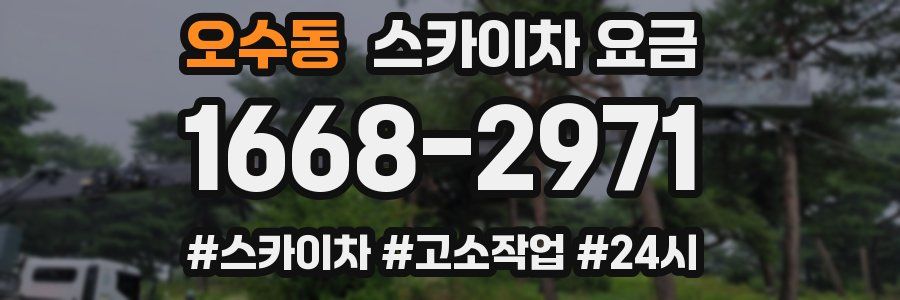 오수동 스카이차 요금