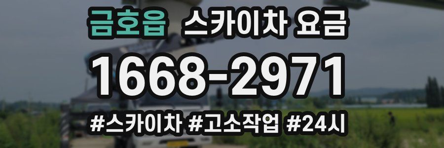 금호읍 스카이차 요금