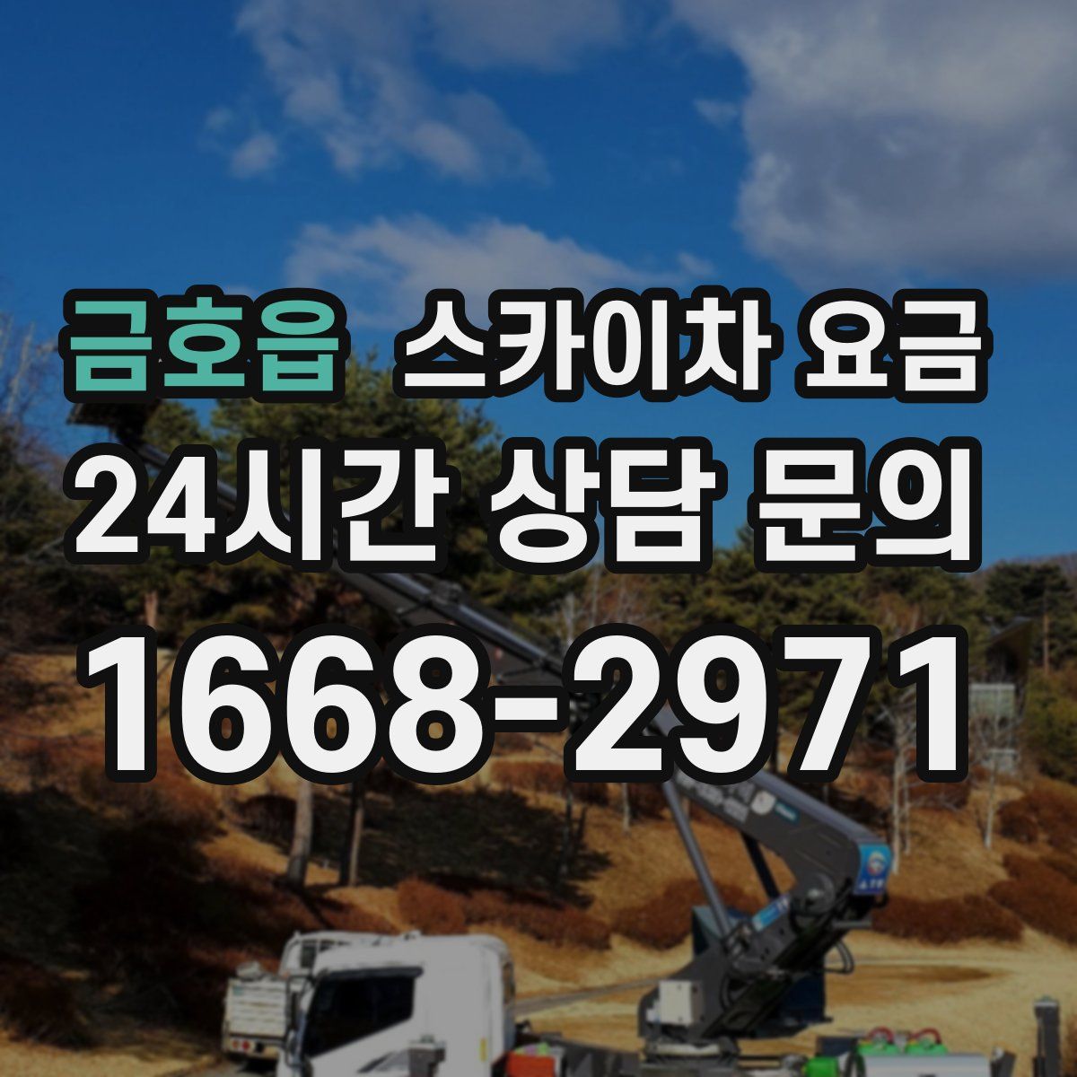금호읍 스카이차 요금