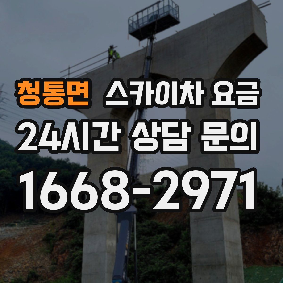 청통면 스카이차 요금