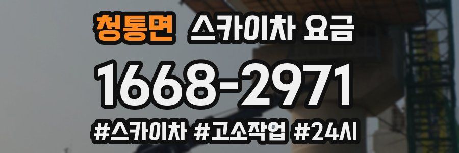 청통면 스카이차 요금