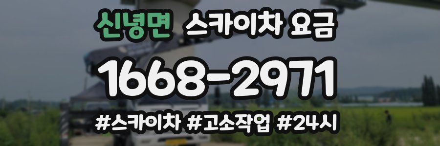 신녕면 스카이차 요금