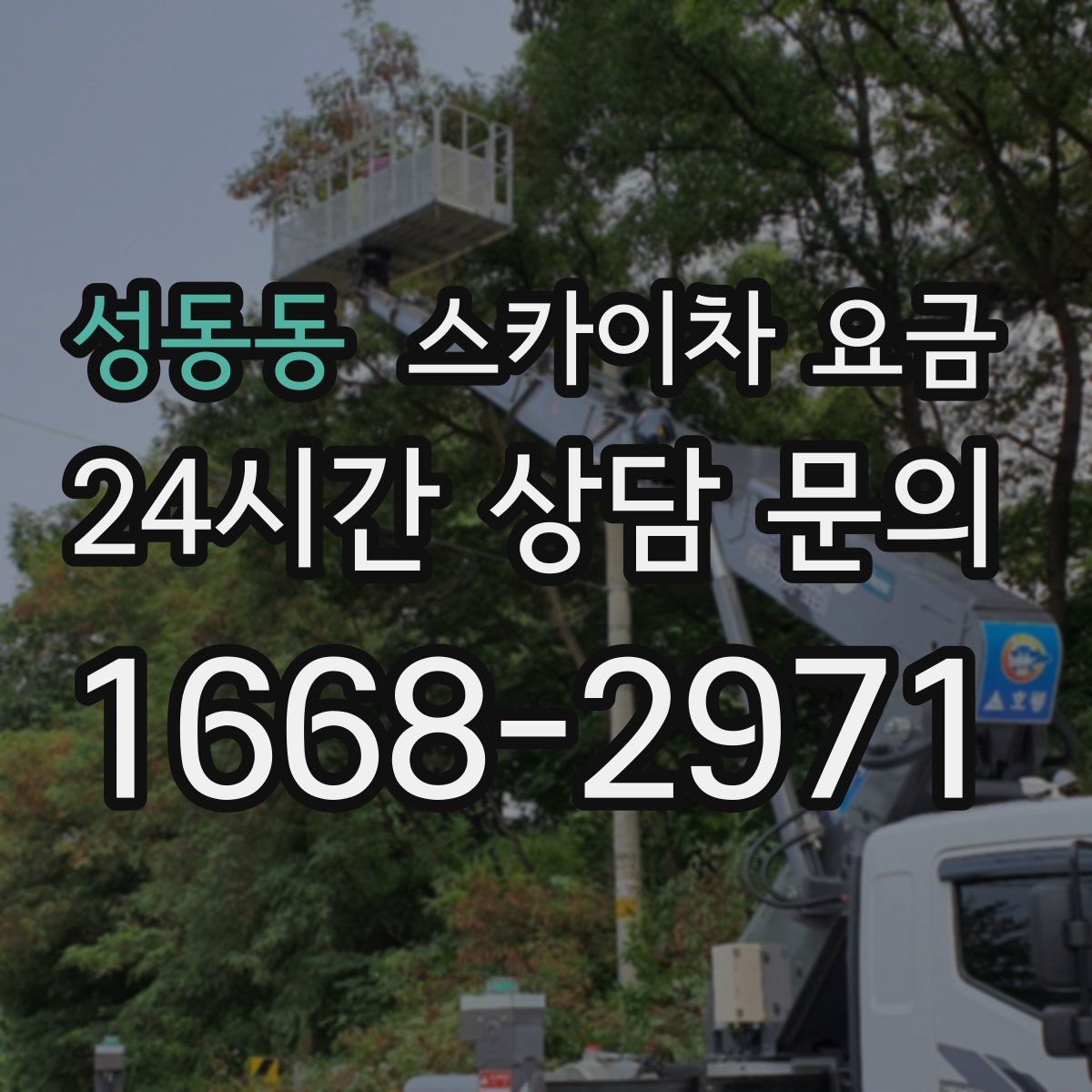 성동동 스카이차 요금