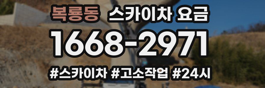 복룡동 스카이차 요금