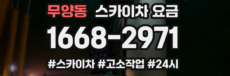 무양동 스카이차 요금