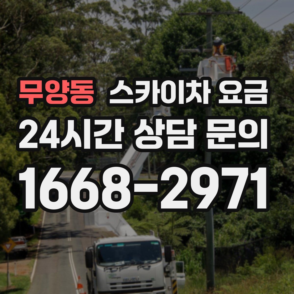 무양동 스카이차 요금