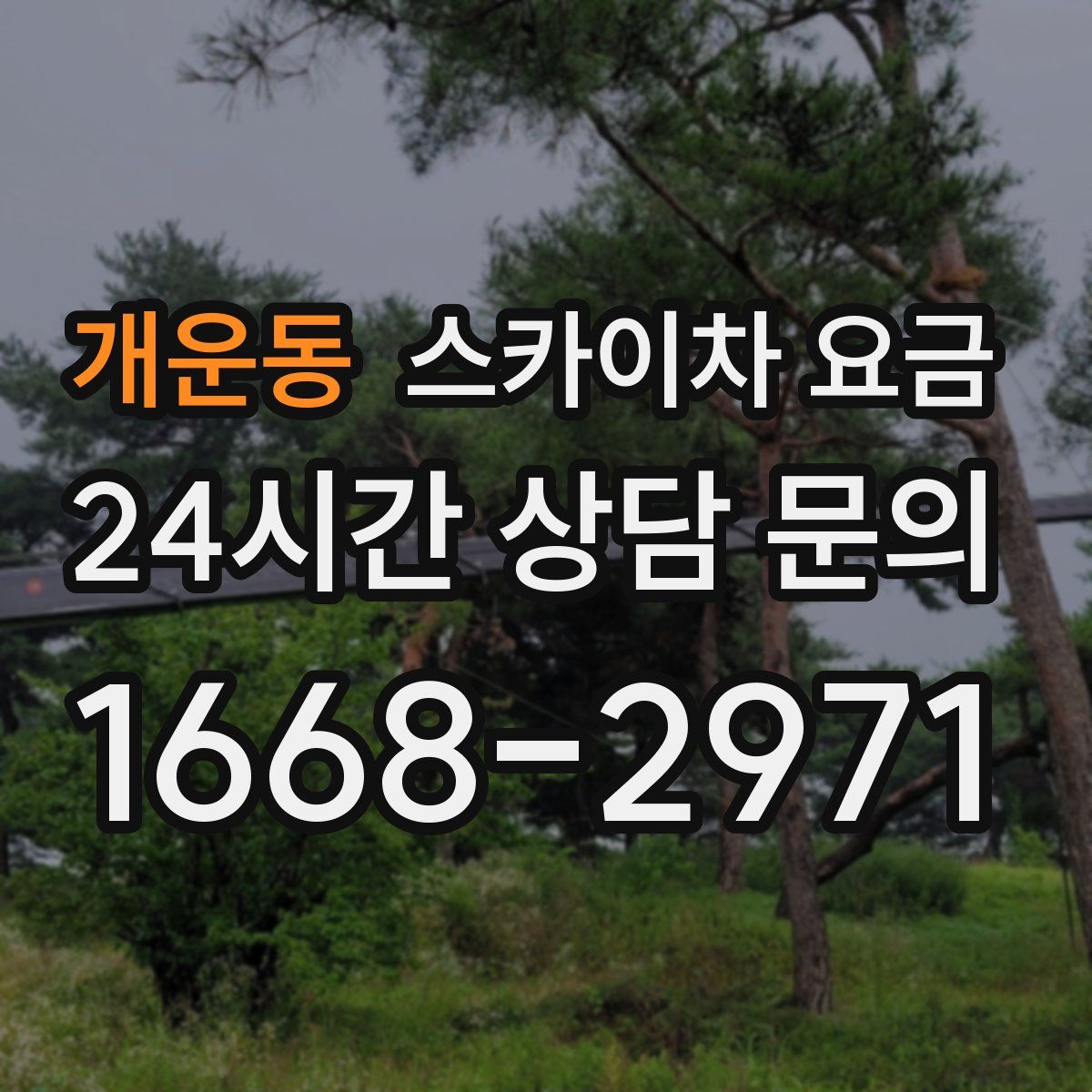 개운동 스카이차 요금