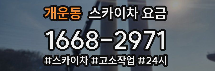 개운동 스카이차 요금