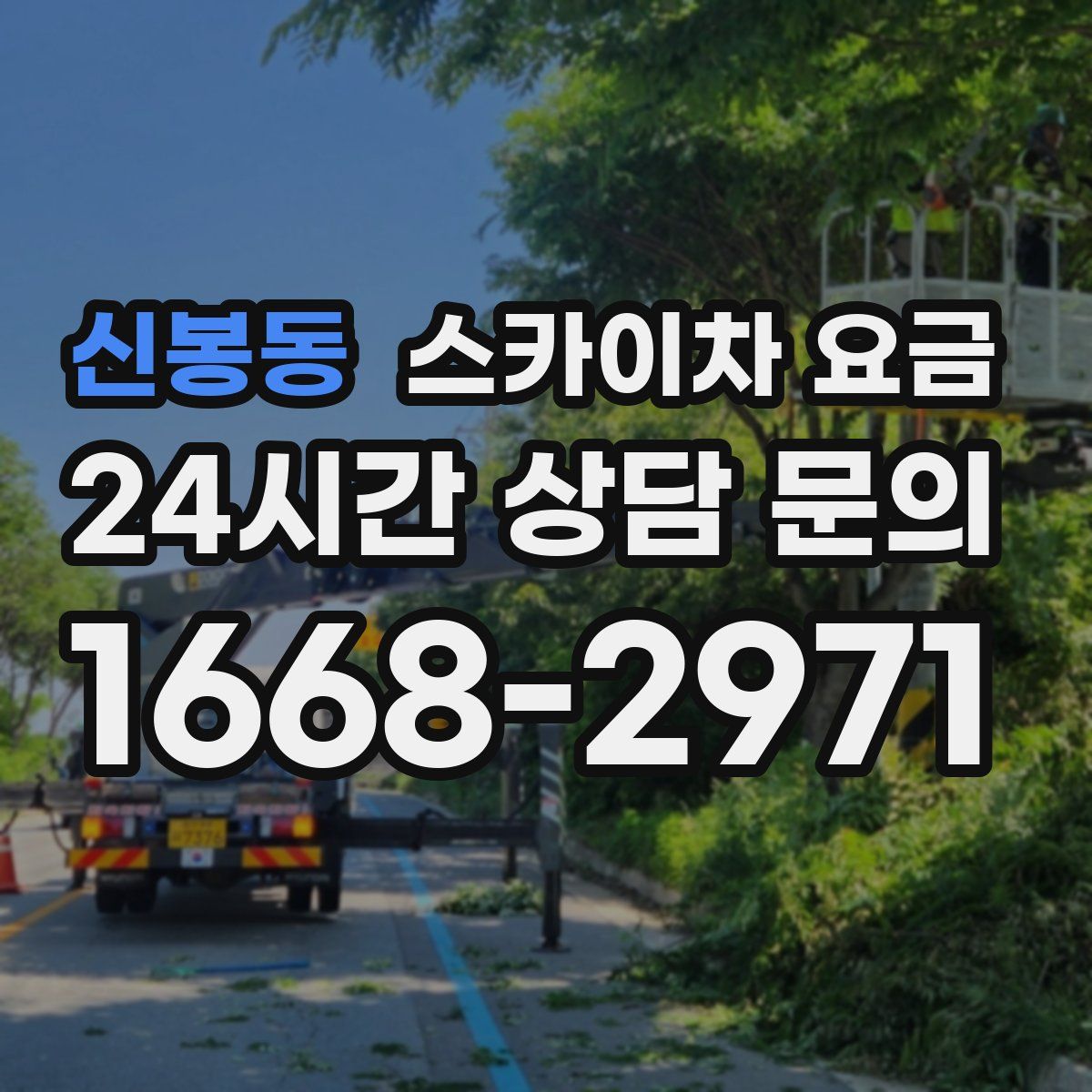 신봉동 스카이차 요금