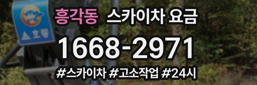 흥각동 스카이차 요금