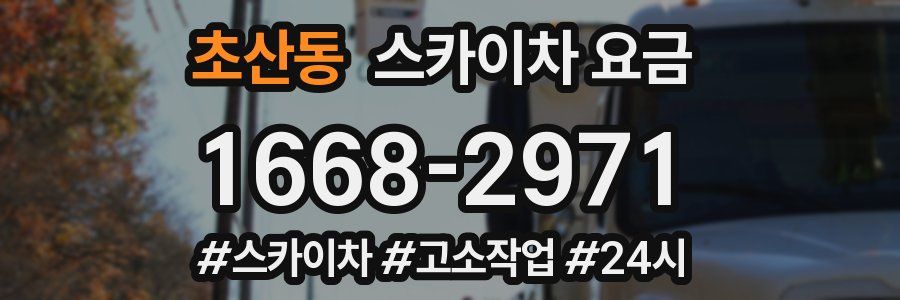 초산동 스카이차 요금