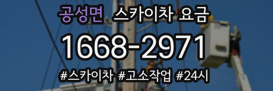 공성면 스카이차 요금