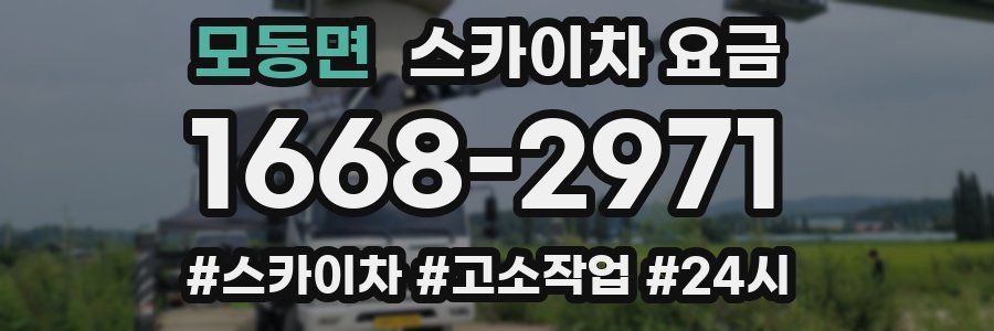 모동면 스카이차 요금