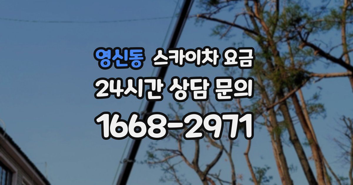 영신동 스카이차 요금