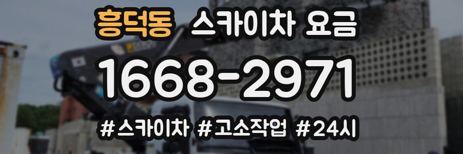 흥덕동 스카이차 요금