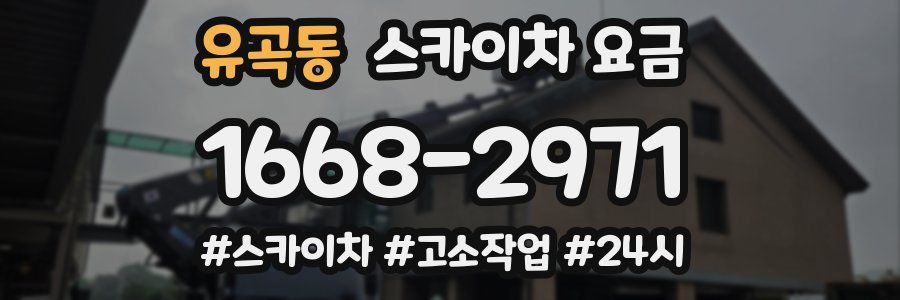 유곡동 스카이차 요금