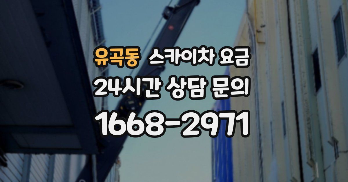 유곡동 스카이차 요금
