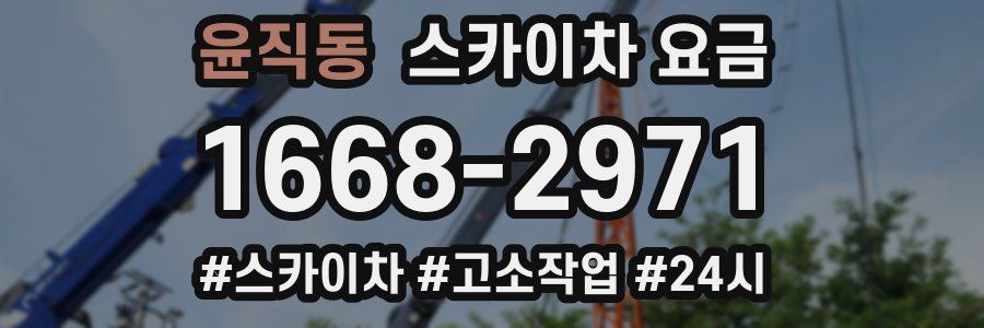 윤직동 스카이차 요금