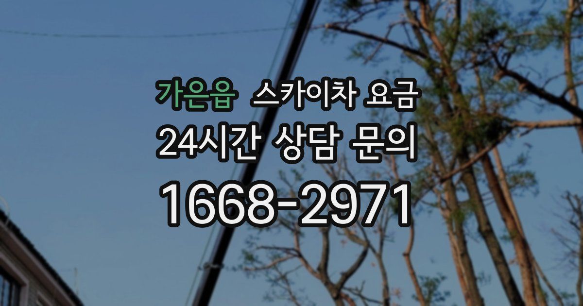 가은읍 스카이차 요금