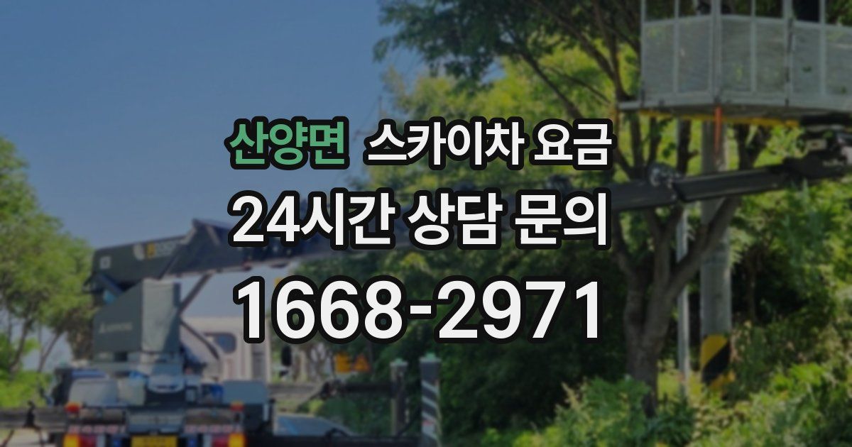 산양면 스카이차 요금