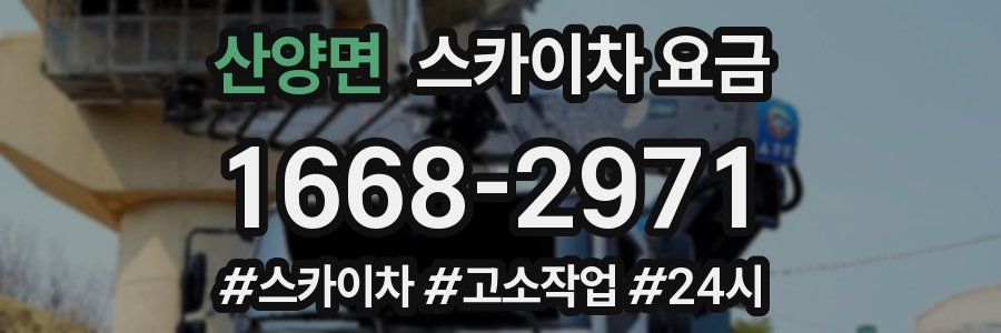 산양면 스카이차 요금
