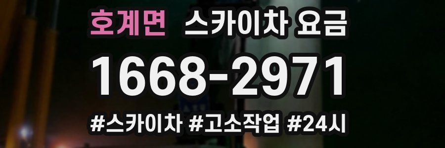 호계면 스카이차 요금