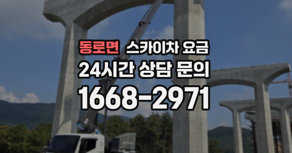 동로면 스카이차 요금