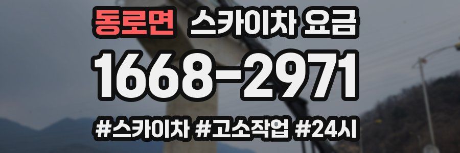 동로면 스카이차 요금
