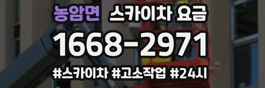 농암면 스카이차 요금