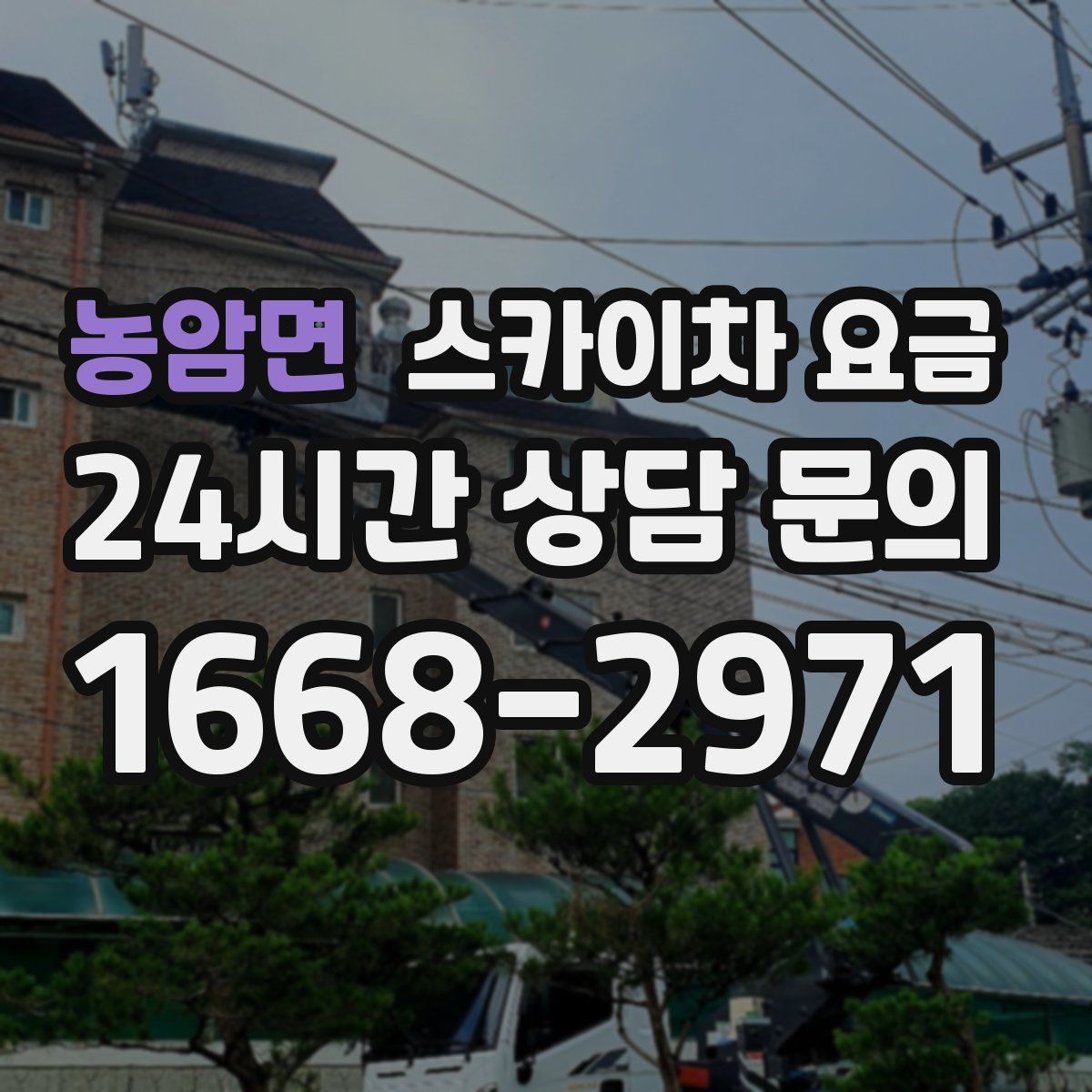 농암면 스카이차 요금