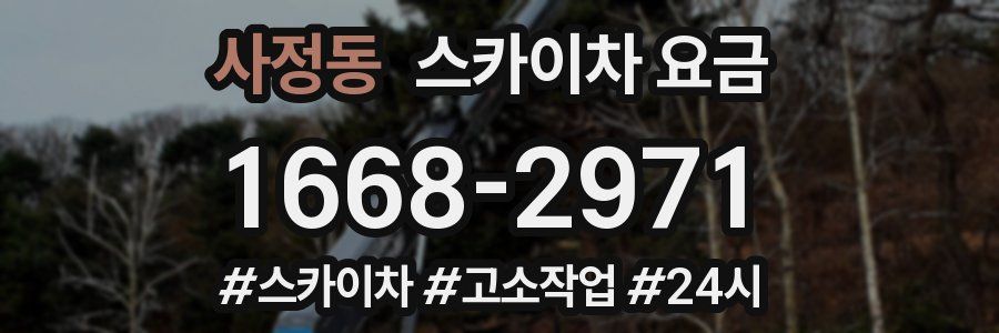 사정동 스카이차 요금