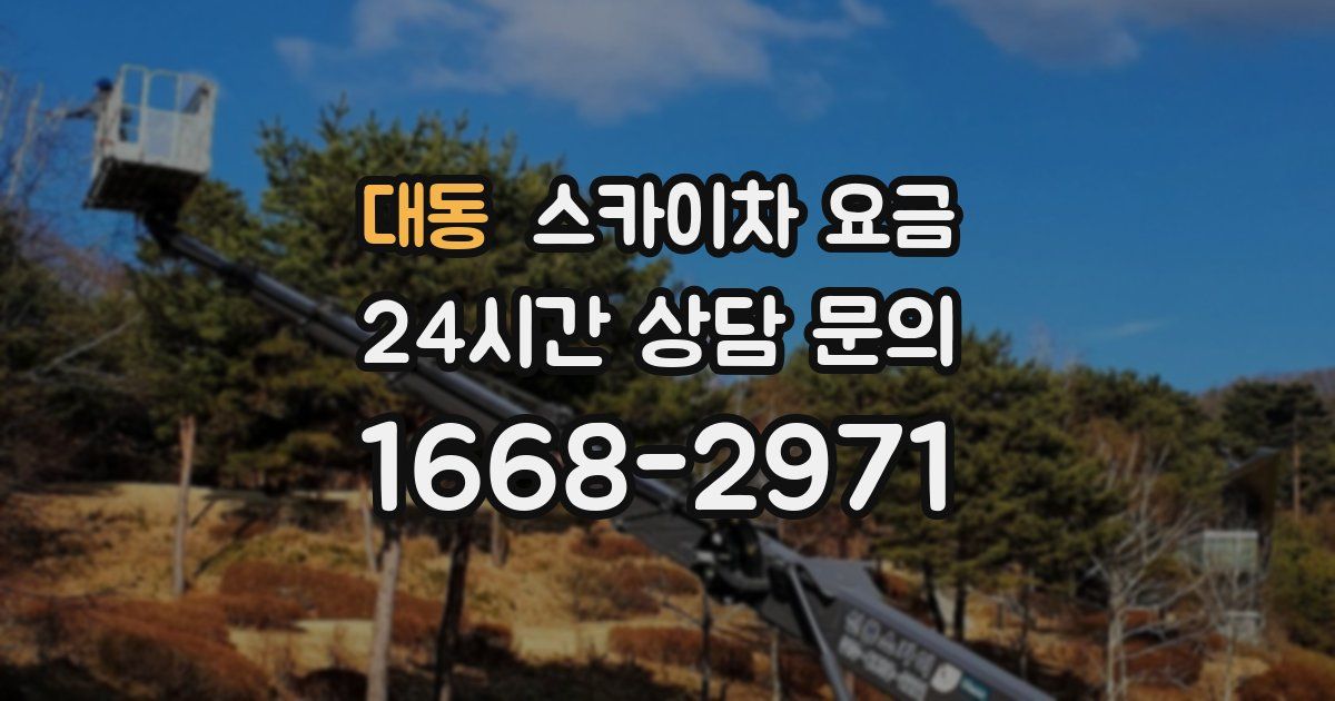 대동 스카이차 요금