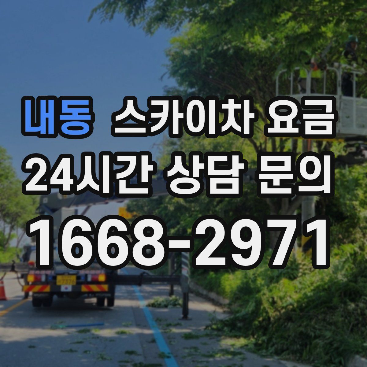 내동 스카이차 요금