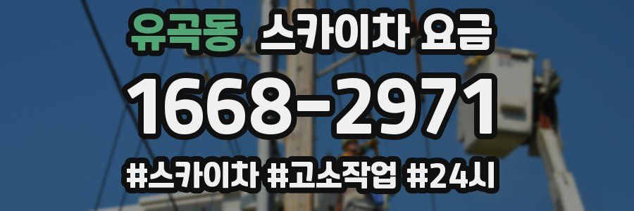 유곡동 스카이차 요금