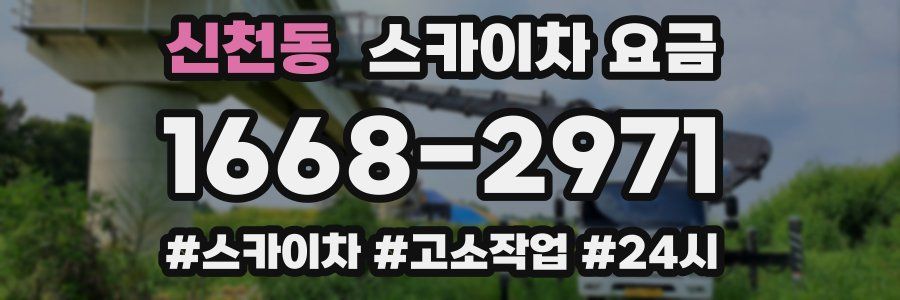 신천동 스카이차 요금