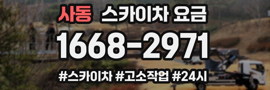 사동 스카이차 요금