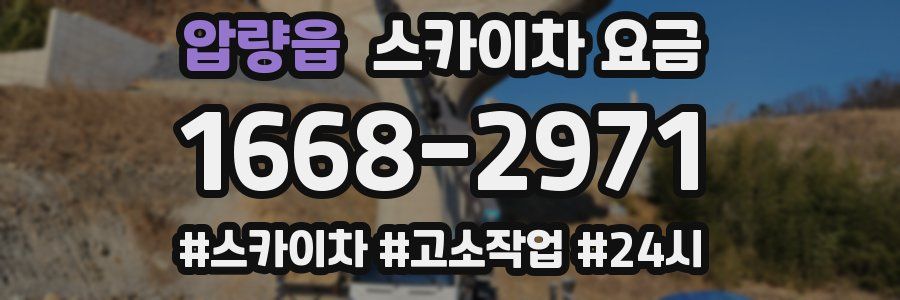 압량읍 스카이차 요금