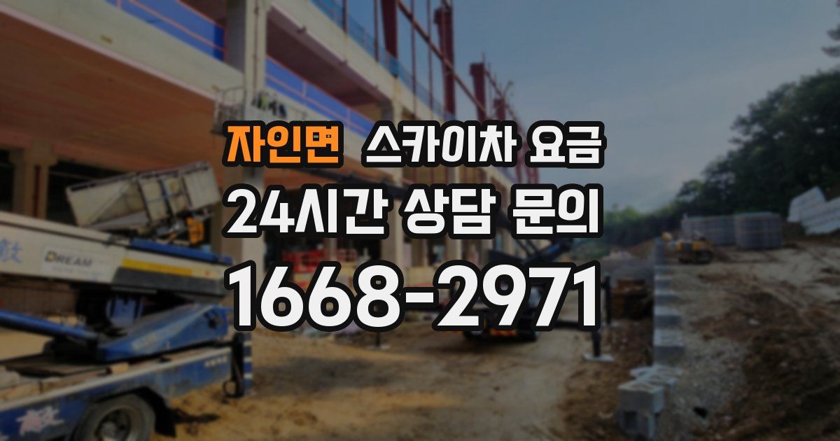 자인면 스카이차 요금
