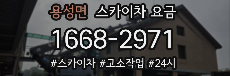 용성면 스카이차 요금