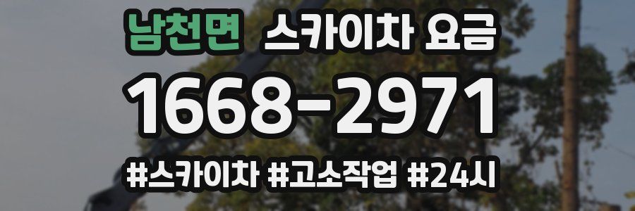 남천면 스카이차 요금