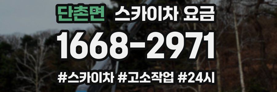단촌면 스카이차 요금
