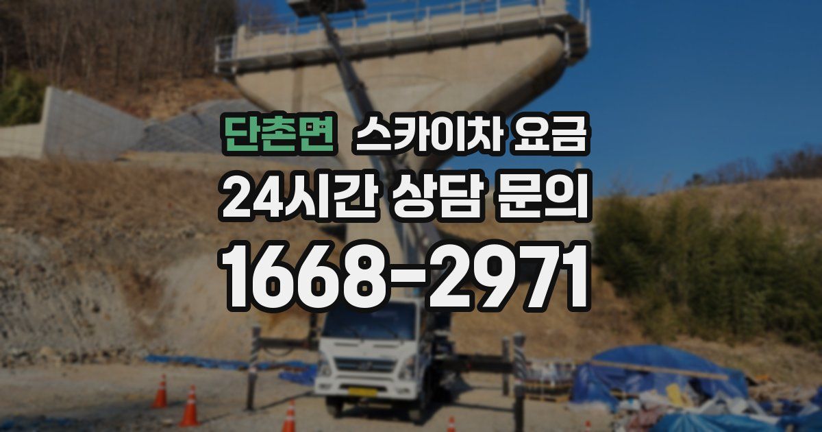 단촌면 스카이차 요금