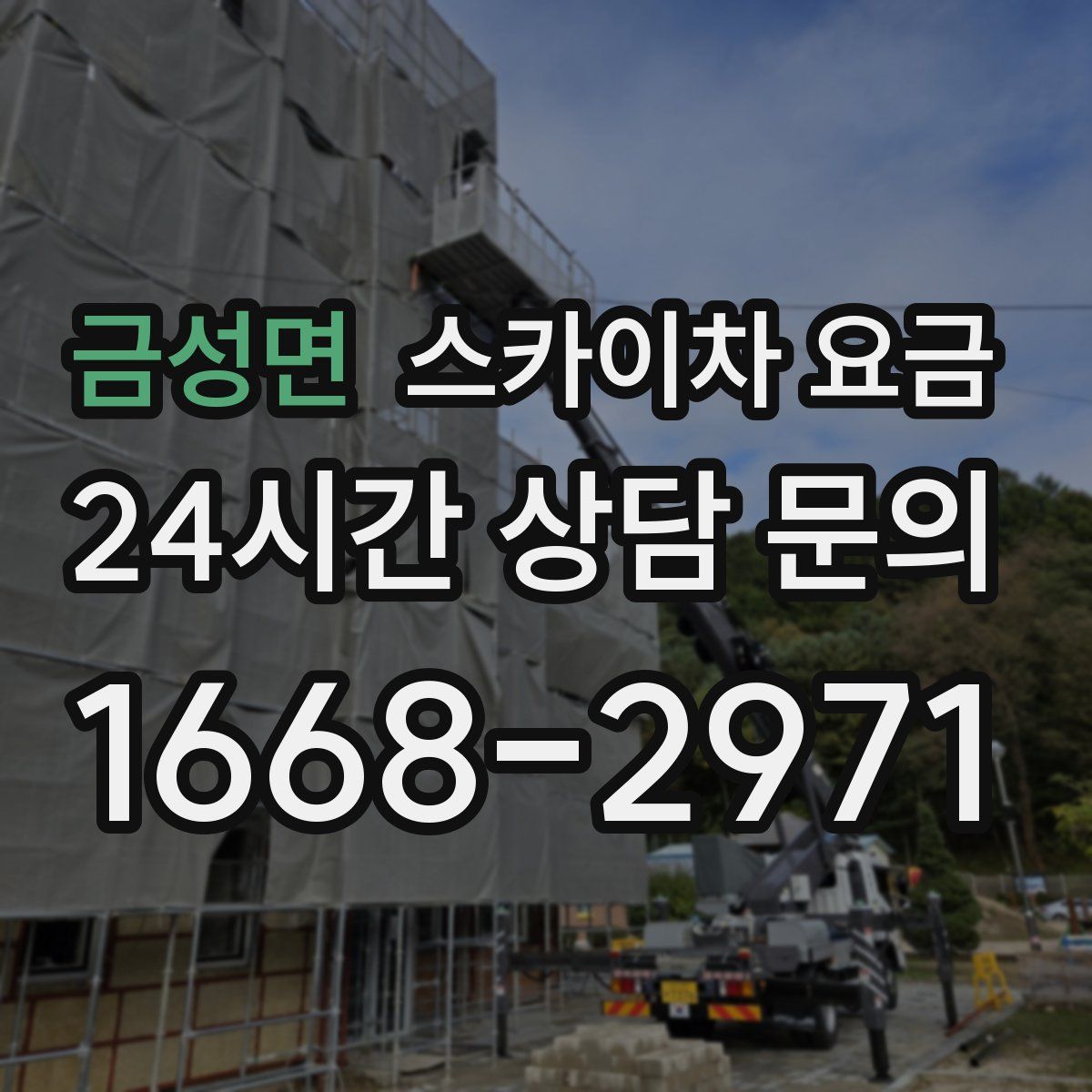 금성면 스카이차 요금
