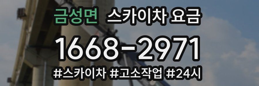 금성면 스카이차 요금
