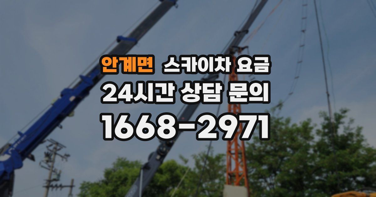 안계면 스카이차 요금