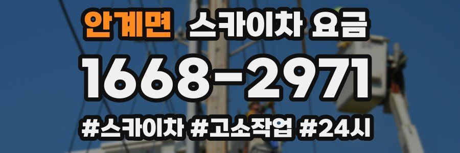 안계면 스카이차 요금